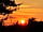 The Daisy Paddock: Sunset on site