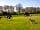 Wolferlow Wigwams: Space for kids and dogs to run about