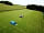 Crookhill Farm: .