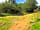 Allercott Farm: Into the woods behind the site