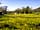 Crowdecote Campsite
