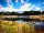 Andark Lake: A sunny day at the lake