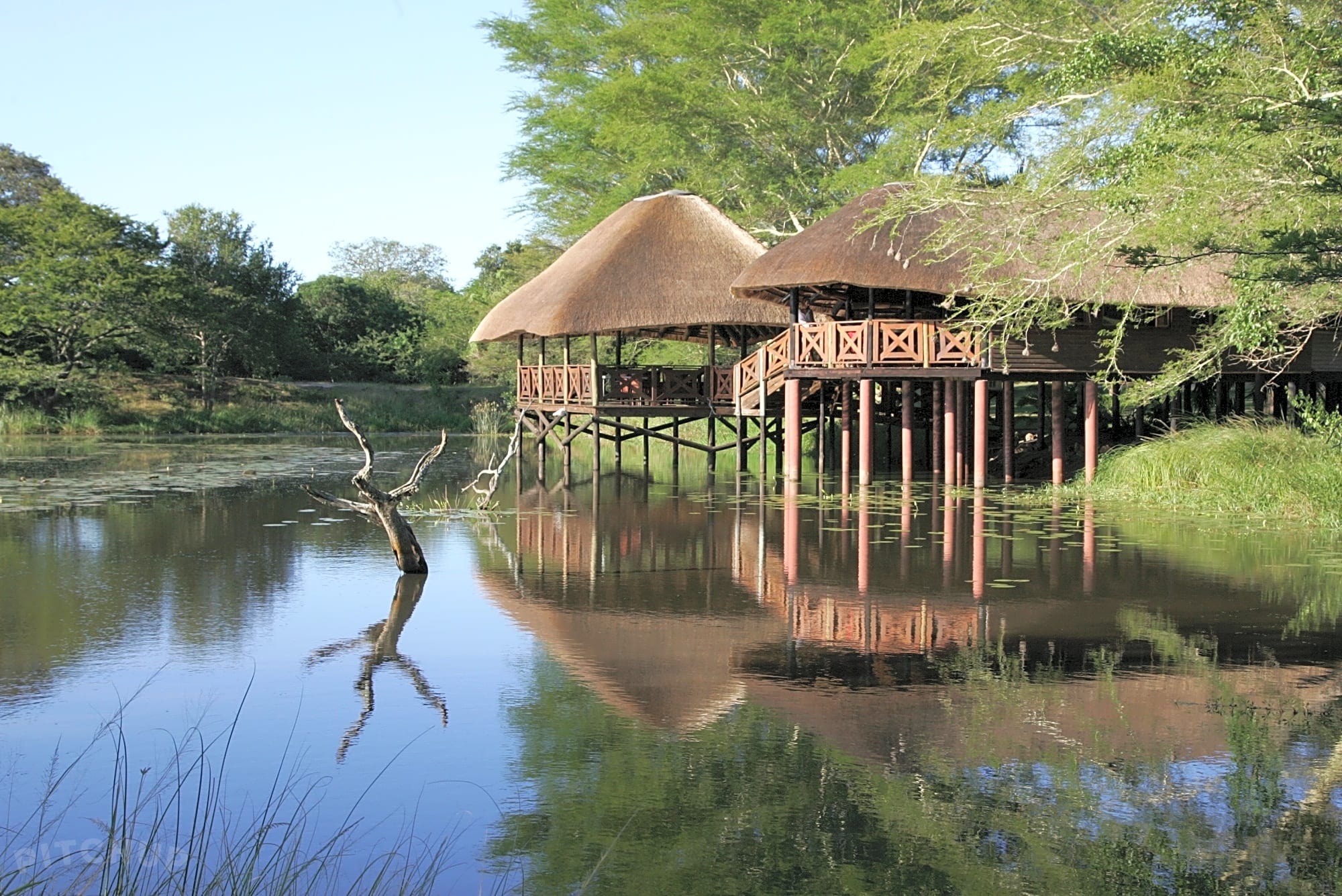 Bonamanzi Game Reserve, Hluhluwe Updated 2021 prices Pitchup®