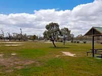 Grass pitches with trees for shade Grass pitches with trees for shade