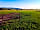 Buckhall Farm: Gate to the campsite (photo added by manager on 19/07/2023)