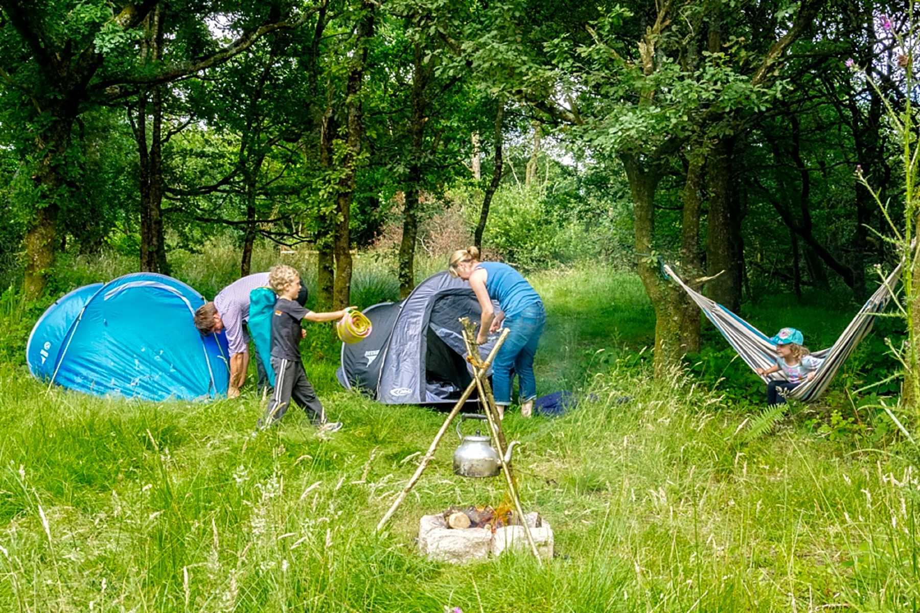 Campsites in Devon Verified open campsites, Easy booking