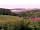 Exmoor Blueberries: Secluded spot beyond the far blueberry field