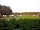 The Barn Caravan Park: Pitches field