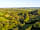 Bodmin Moor Camping: Secluded pitches field