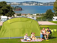 Electric grass tent pitch Electric grass tent pitch