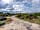 Ocknell Caravan and Camping Site: Pitches in the forest