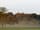 Two Hoots Campsite: View of woods