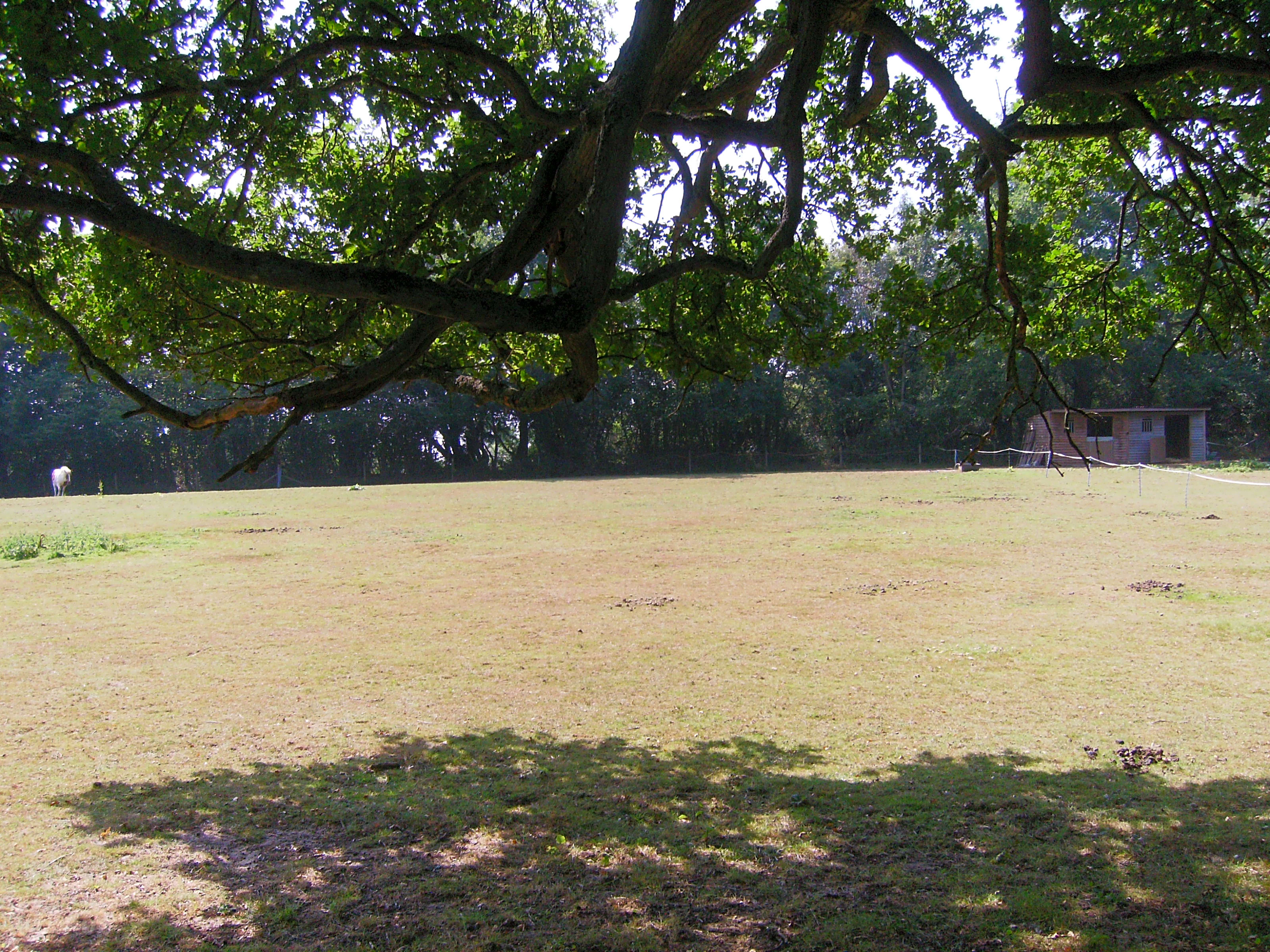 Valley Farm, Hadleigh - Pitchup®