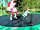 Camping Graswijk: Kids can jump on the trampoline