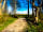 Kite View Campsite: Entrance to the fields