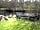Riverbend Caravan Park: The river runs right through the park (photo added by manager on 17/03/2015)