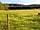 Lockhurst Hatch Farm: Morning chill (photo added by  on 10/06/2021)