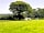 Porlock Vale Campsite: Relax and unwind with plenty of space (photo added by manager)
