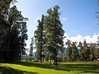 One of our bigger lawns for tent pitches with beautifull views on sunset and mountain views. One of our bigger lawns for tent pitches with beautifull views on sunset and mountain views.