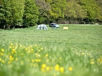 Parcel·la de gespa sense electricitat per a tenda de campanya o per a remolc tenda