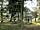 Blaithwaite House: Play area among the trees
