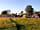 South Town Farm: Well spaced pitches