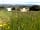 Shepherd's Crag Glamping