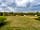 Ocknell Caravan and Camping Site: Forest view and grass pitches