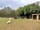 Blackstone Meadow Holiday Park: Alpaca haven