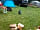 Moss Hagg Farm Campsite: weekend camping