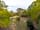 Longbeech Caravan and Camping Site: Forest view (photo added by manager on 30/01/2023)