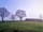 Wrekin View Retreat: A misty spring morning with a campervan parked up, enjoying the hazy sunrise (photo added by manager on 18/03/2022)