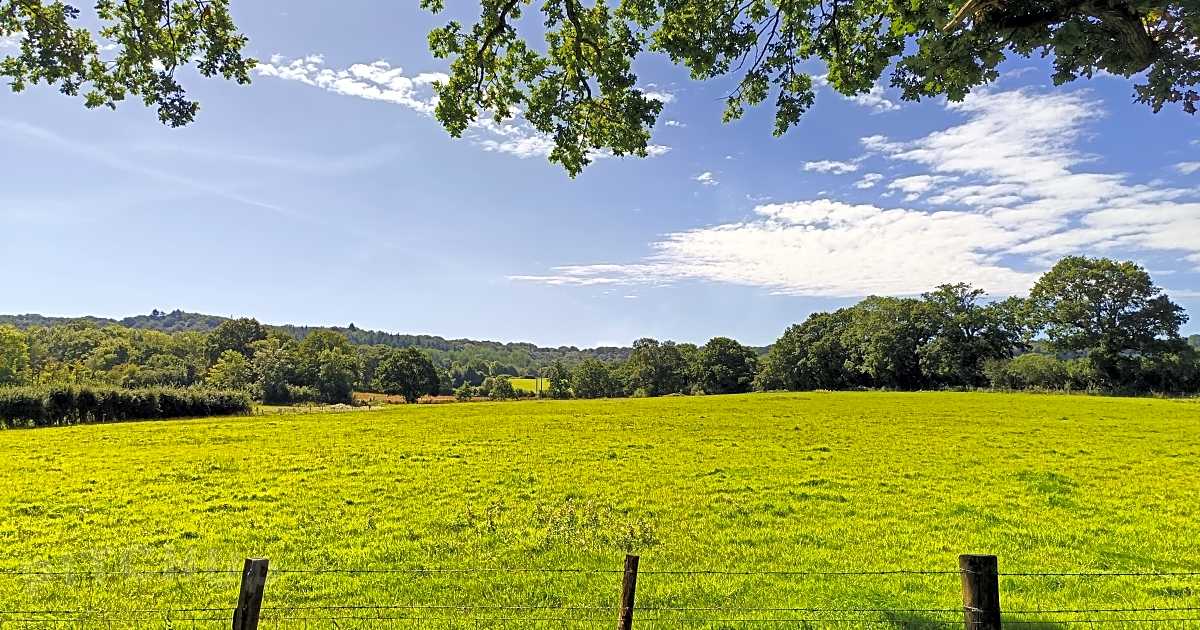 Lower Marsh Farm Campsite, Shaftesbury Updated 2024 prices