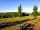 Chittlesford Mill Farm Camping: Non-electric grass tent pitch 