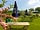 Snooty Fox: Picnic area