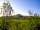 Pillars of Hercules Organic Farm: Falkland Hill from the campervan site (photo added by manager on 21/01/2023)