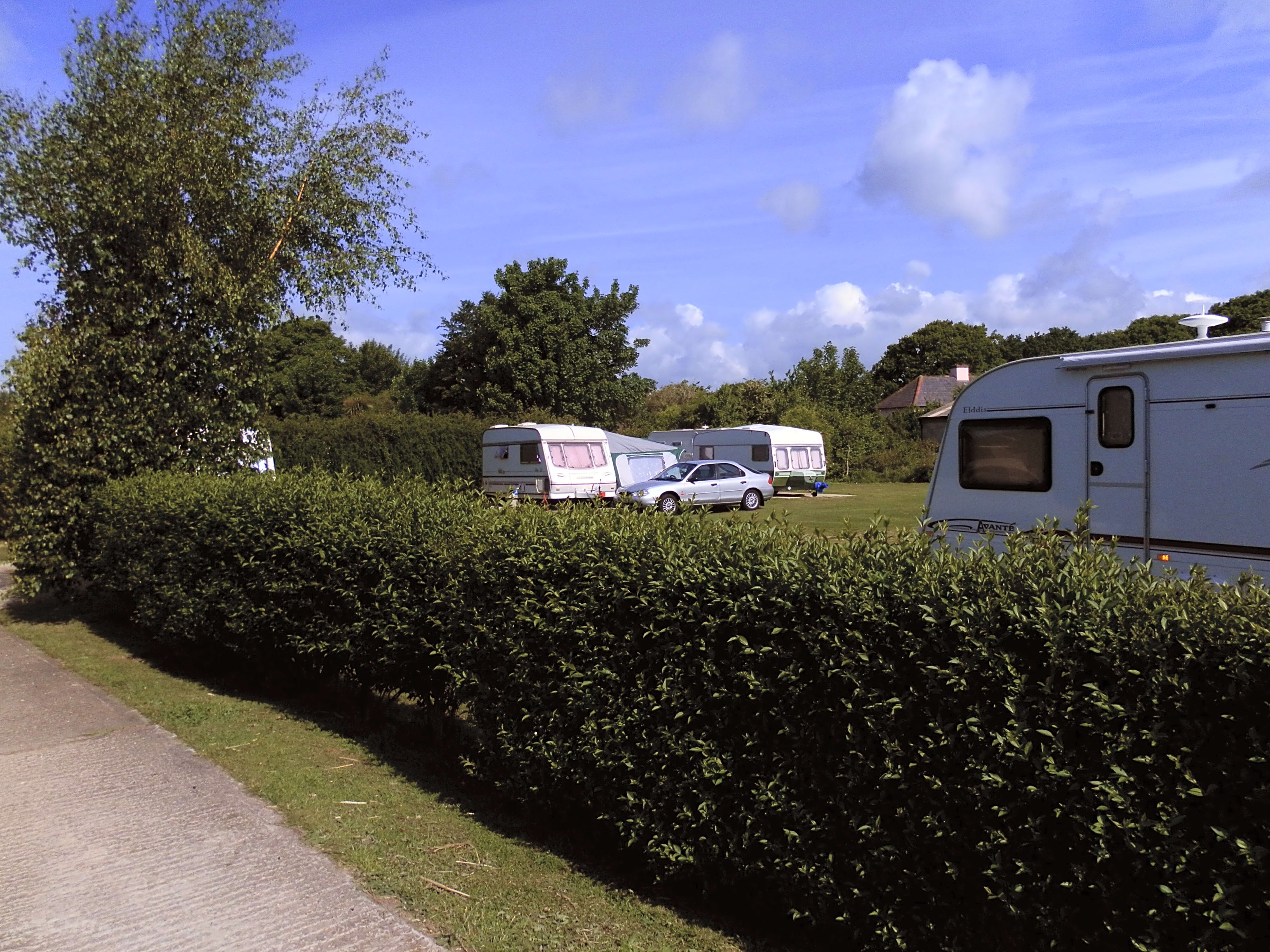 Bell Caravan Park, Chichester Pitchup®