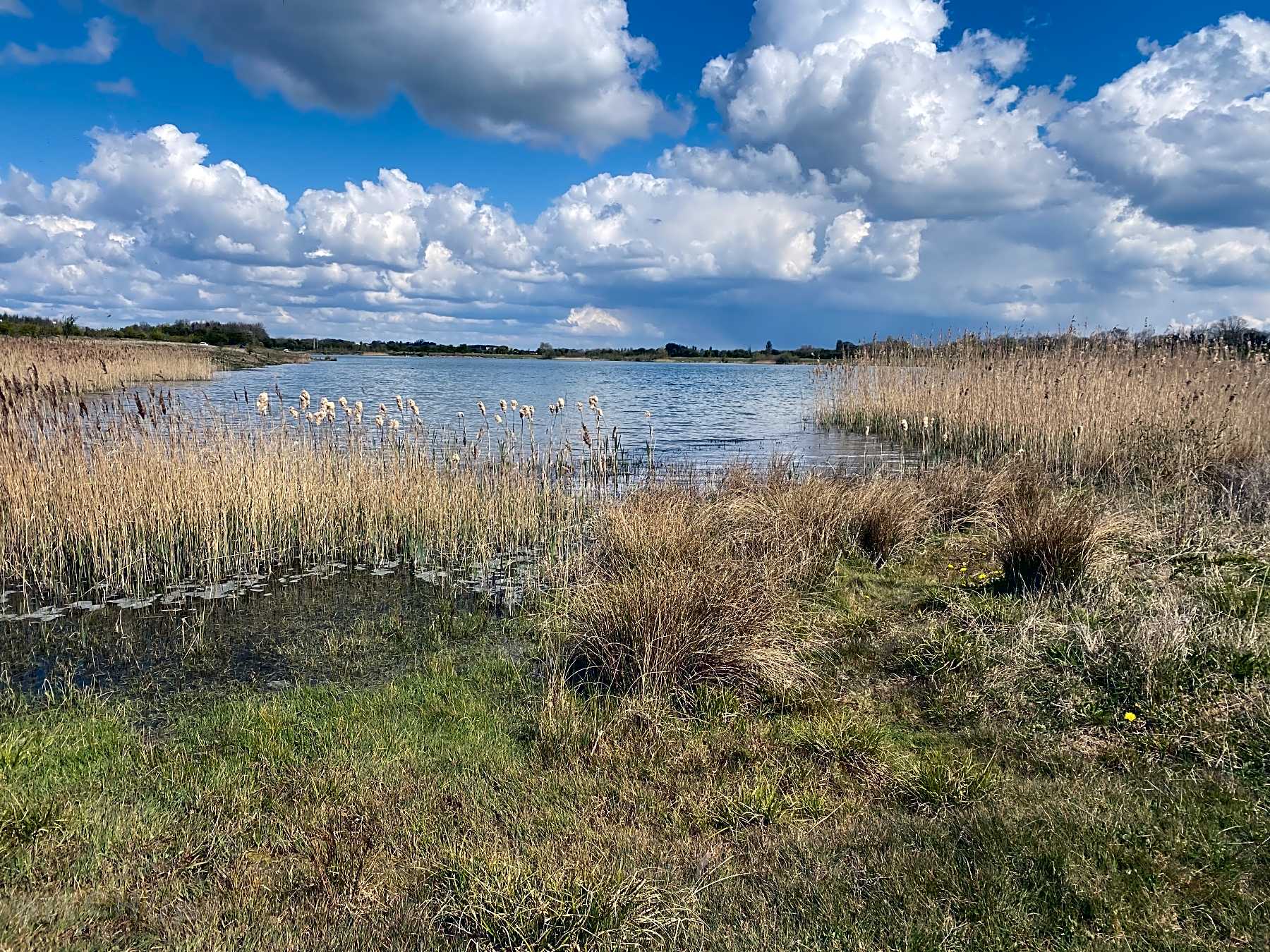 Best Campsites in Rutland Water, Rutland 2021 95 Rutland Water