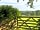 Beech Tree Farm: A view of the site