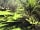 Canvas Hideaway: Enjoy the shade of the trees and lush, green surroundings