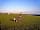 Sandymouth Holiday Park: The camping field
