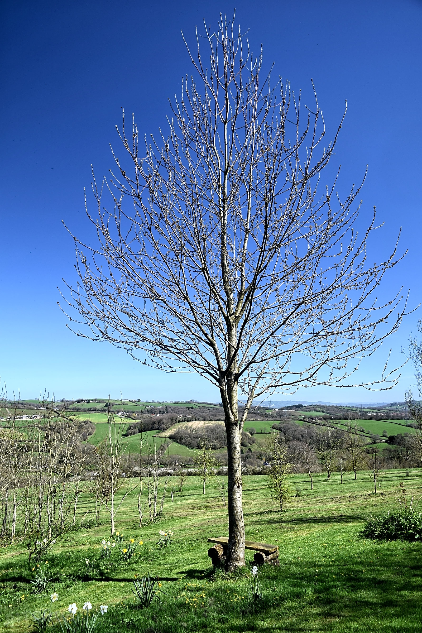 Harmony Wood Naturist Campsite Exeter Updated 2019 Prices