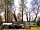Graston Copse Holiday Park: Electric pitches (photo added by manager)