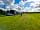 Bales Ash Campsite: Lots of space to relax and play outside The Shepherd's Hut