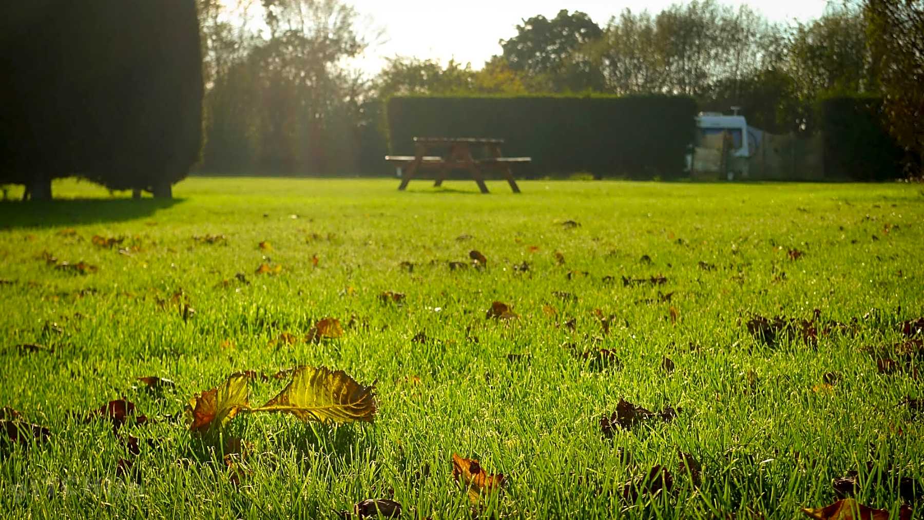 Best Campsites In Ashford Kent 2020 From 10 00 Book 48 Campsites On Pitchup