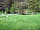 Church Stile Farm Holiday Park: Large flat electric hook-up grass tent pitches with ample space to park next to your tent