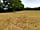 Clayford Field: Pitch where you like in the six-acre field (photo added by manager on 06/08/2018)