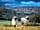 Irton House Farm: The resident Valaise Blacknosed Sheep
