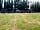Buckhurst Campsite: Space for groups to gather