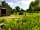 The Gaggle of Geese: Garden and barbecue shack (photo added by manager on 12/09/2018)